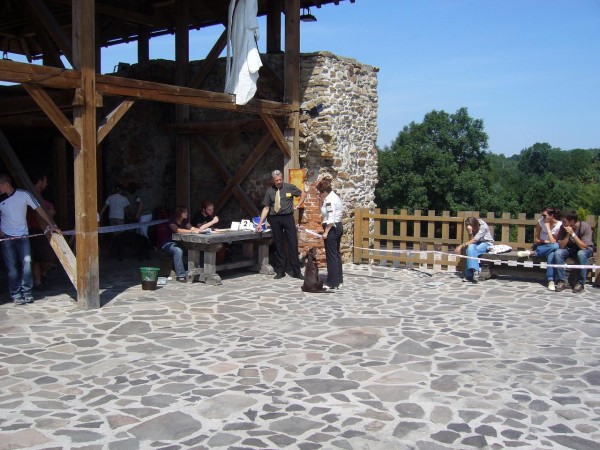 prvni vystava